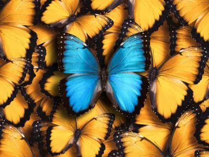 Losing Yourself In Others
