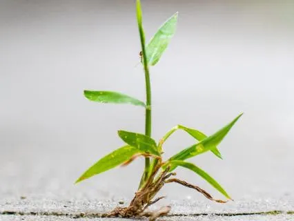 Loss Of Motivation And Overwhelm (EFT Tapping)