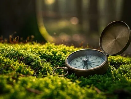 Lost And Found For Peace Of Mind