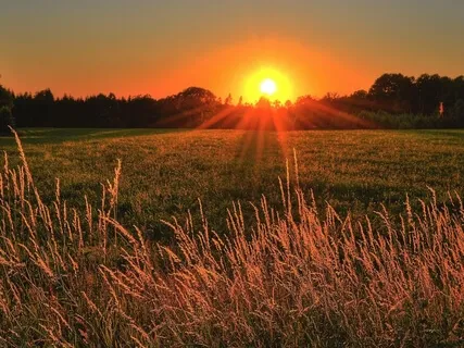 Lost Cause - Energized Music For Positivity & Harmony