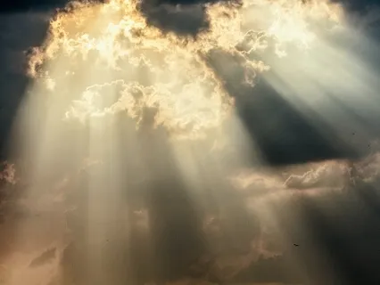 Lost In His Presence