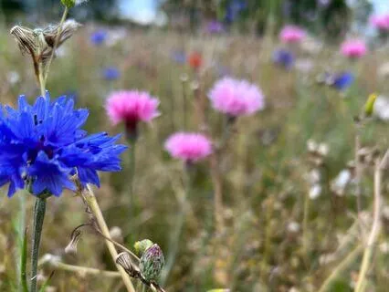 Lost In Wellness- August 21