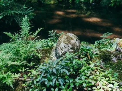 Lost In Your Thoughts? Come Back To Now