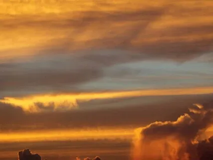 Lotus Blossom Yoga Nidra