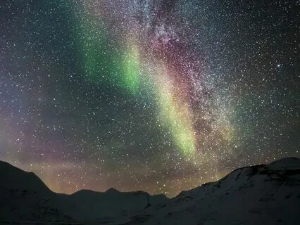 Lotus Relaxation Music: Flower Of Moon