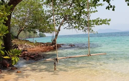 Lotus Wants To Give You Inner Peace & Healing Power