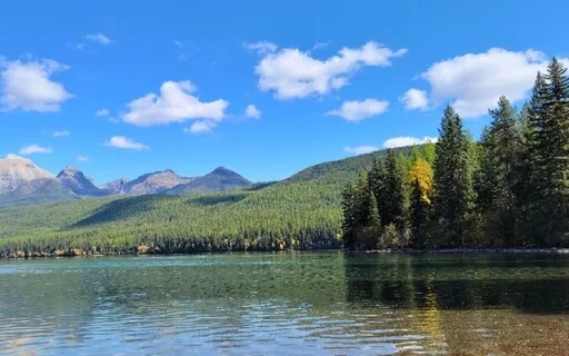 Louise Hay I Love Myself Therefore Mirrorwork Affirmation