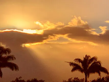 Love, A Key To Peace