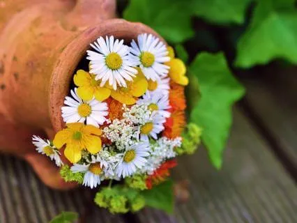 Love Affirmations For Support And Belonging