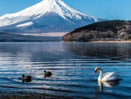 Love - All That Matters