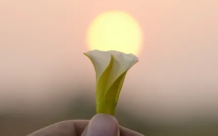 Love And Above Morning Meditation