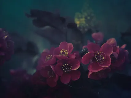 Love & Abundance ~ Guided Sleep Session