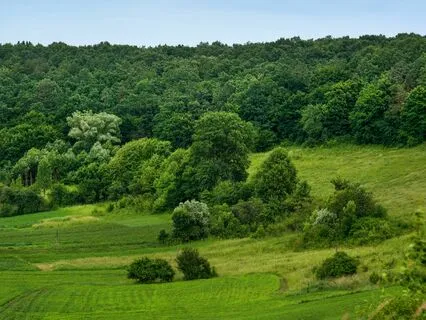 Love And Calm: Music For Stress-Free Hearts