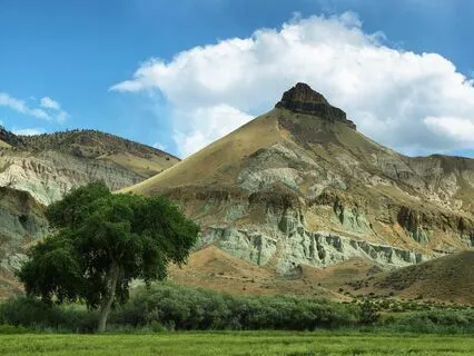 Love And Calm: Relaxing Connection