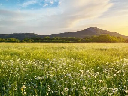 Love And Calm: Soothing Anxiety Away