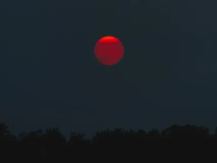 Love And Fear (What Is Now? Podcast)