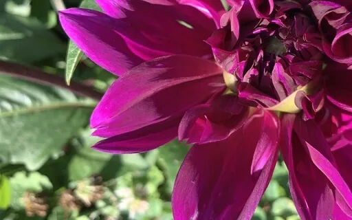 Love And Friendliness Practice (Metta) 14 Minutes