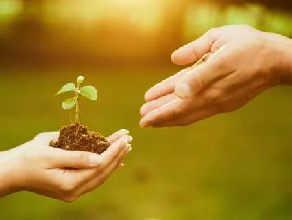 Love And Harmony In Your Field