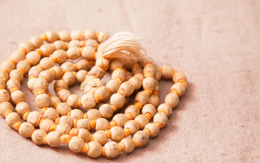 Love & Kindness Guided Meditation 