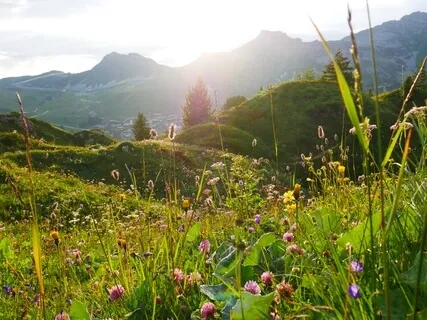 Love And Kindness - Meditation