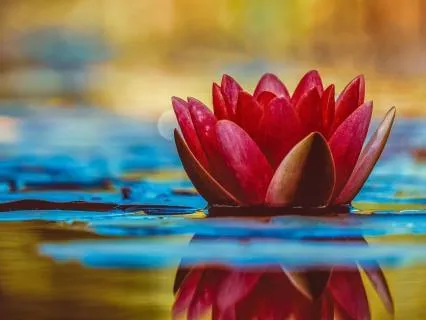 Love And Kindness Meditation Practice