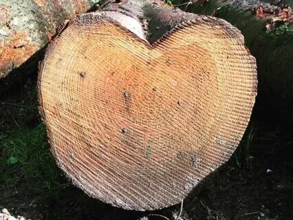 Love And Kindness Meditation