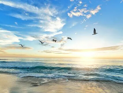 Wings to Fly - Guitar Piano Medley