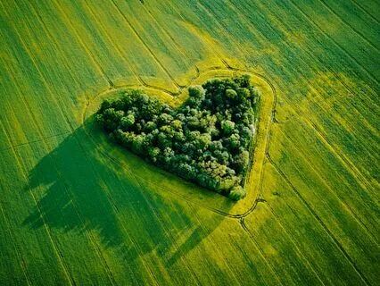 Love And Peace: Anxiety-Free Zone