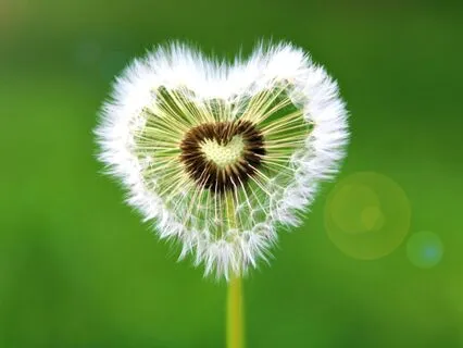 Love And Unity Meditation