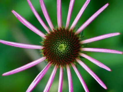 Love As A Round Trip