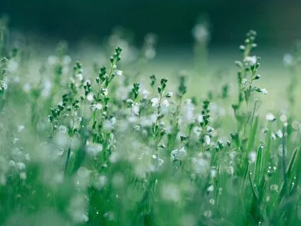 Love Awaits You Here