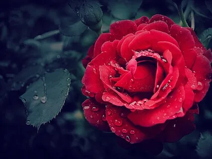 Love Awareness Exercise