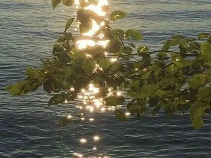 Love Awareness Meditation