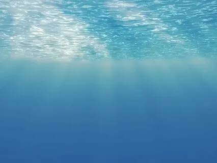 Love Begins Within: Tuning into the Venus Current