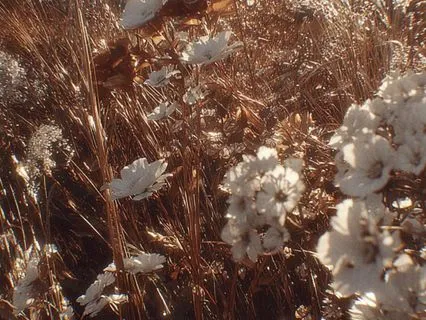 Love & Belonging: A Yoga Nidra For Self-Worth