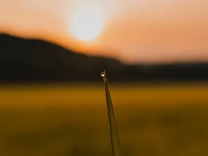 Love Breakthrough: Loving For No Reason