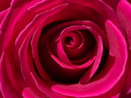 Love By Swami Sivananda: Shorter Version