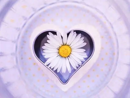 Love Code - Awaken the Frequency of Love