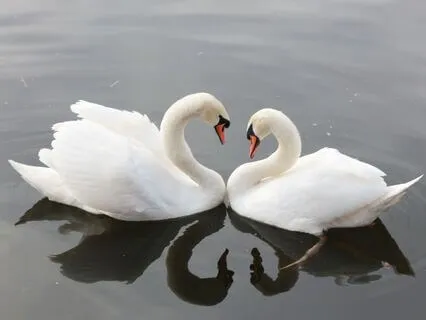 Love Divine - Mantra