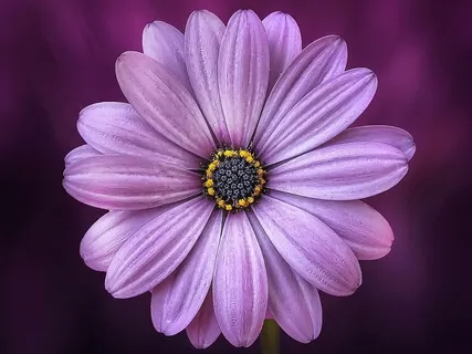 Love = Oneness = Deep Connection