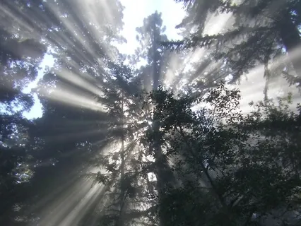 Love Expansion - Universal Sphere Experience (No Music)