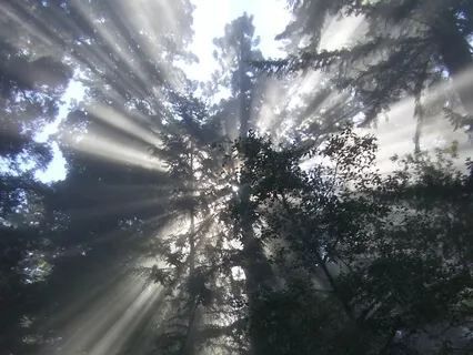 Love Expansion - Universal Sphere Experience + Music