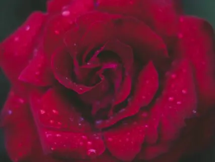 Love Frequency 528 Hz and 4 Hz Theta Wave For Healing Part 1