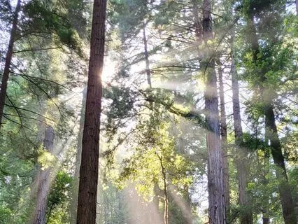 Love From The Universe In Tough Times