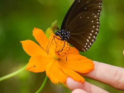 Love, Gratitude And Kindness To Self