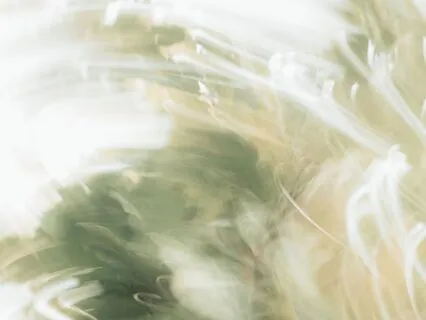 Love Grows When Losing Cello & Harp