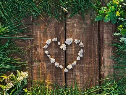 Love Harmony: Shamanic Connection