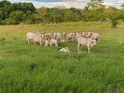 Love-Hate Relationship