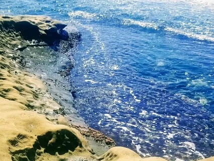 Love, Healing And The Coronavirus