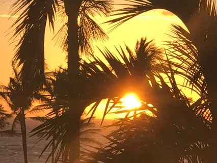 Love Heals: A Journey From Chronic Pain To Inner Peace